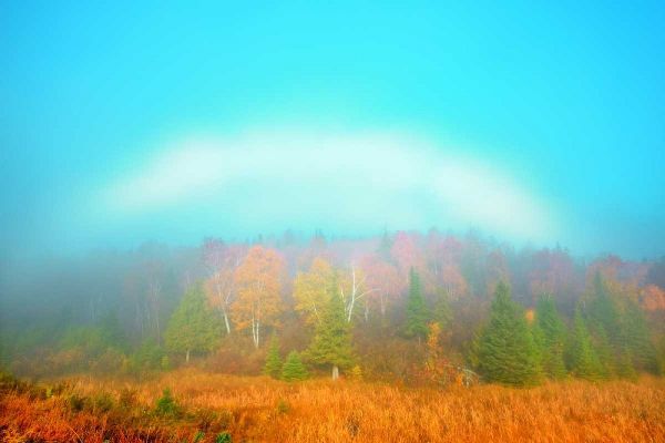 Canada, Whiteshell PP Fogbow over forest, Autumn